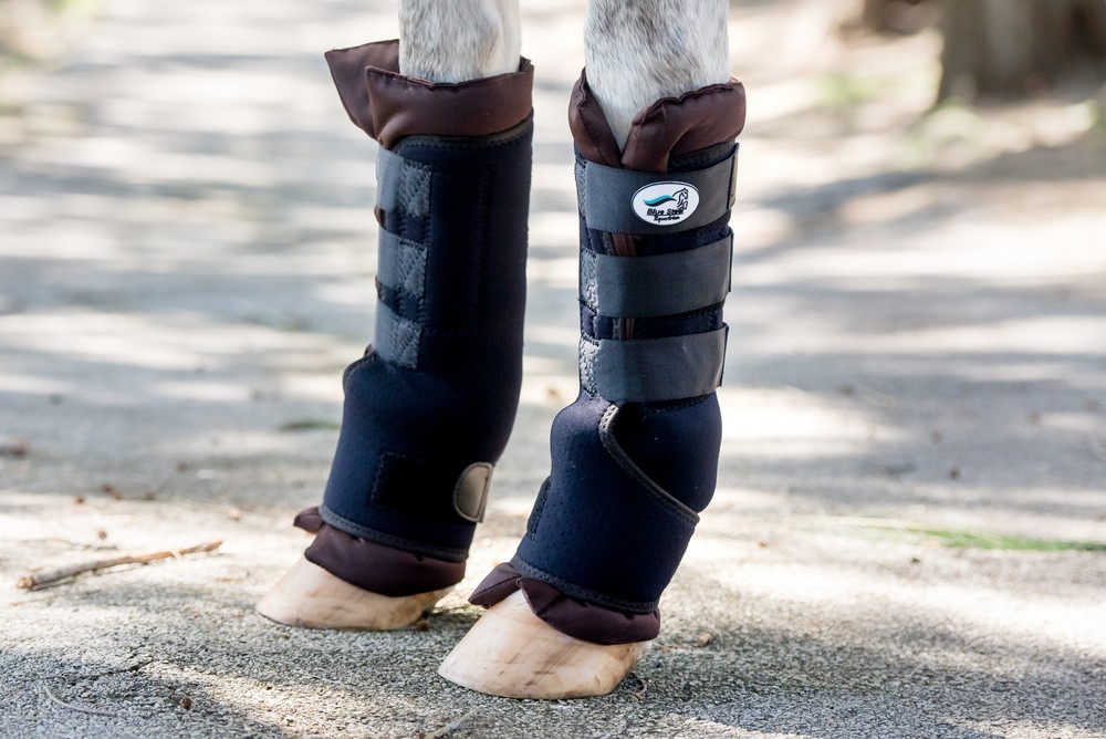 Magnetic Horse Boots